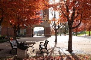 President's Equity and Inclusion Council